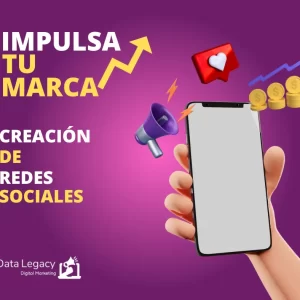 Data Legacy Servicios